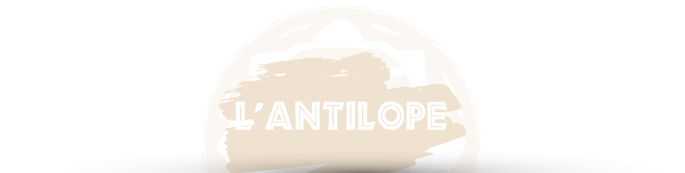 L'antilope