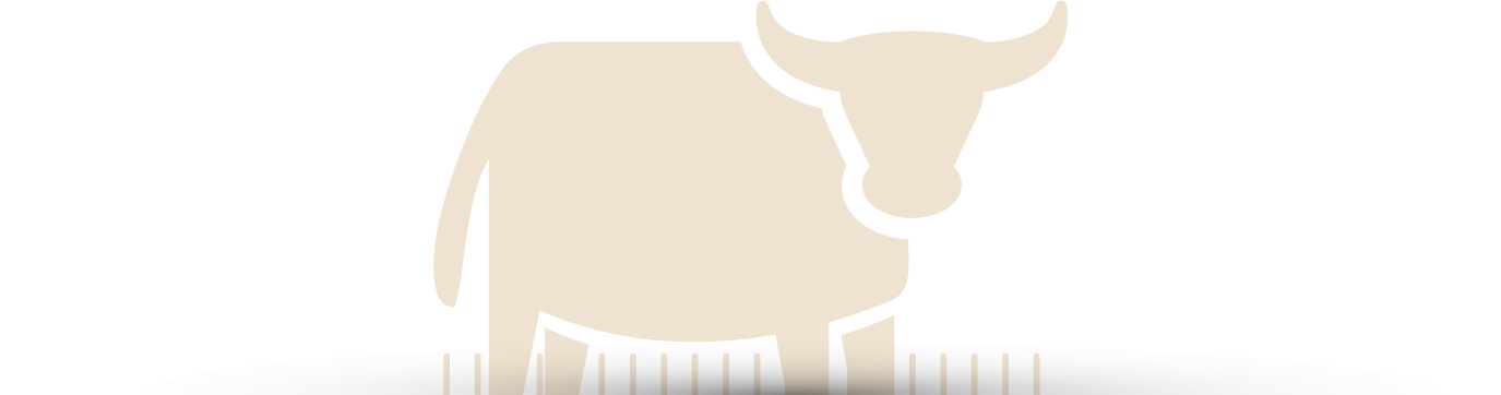Le Bœuf des Rizières